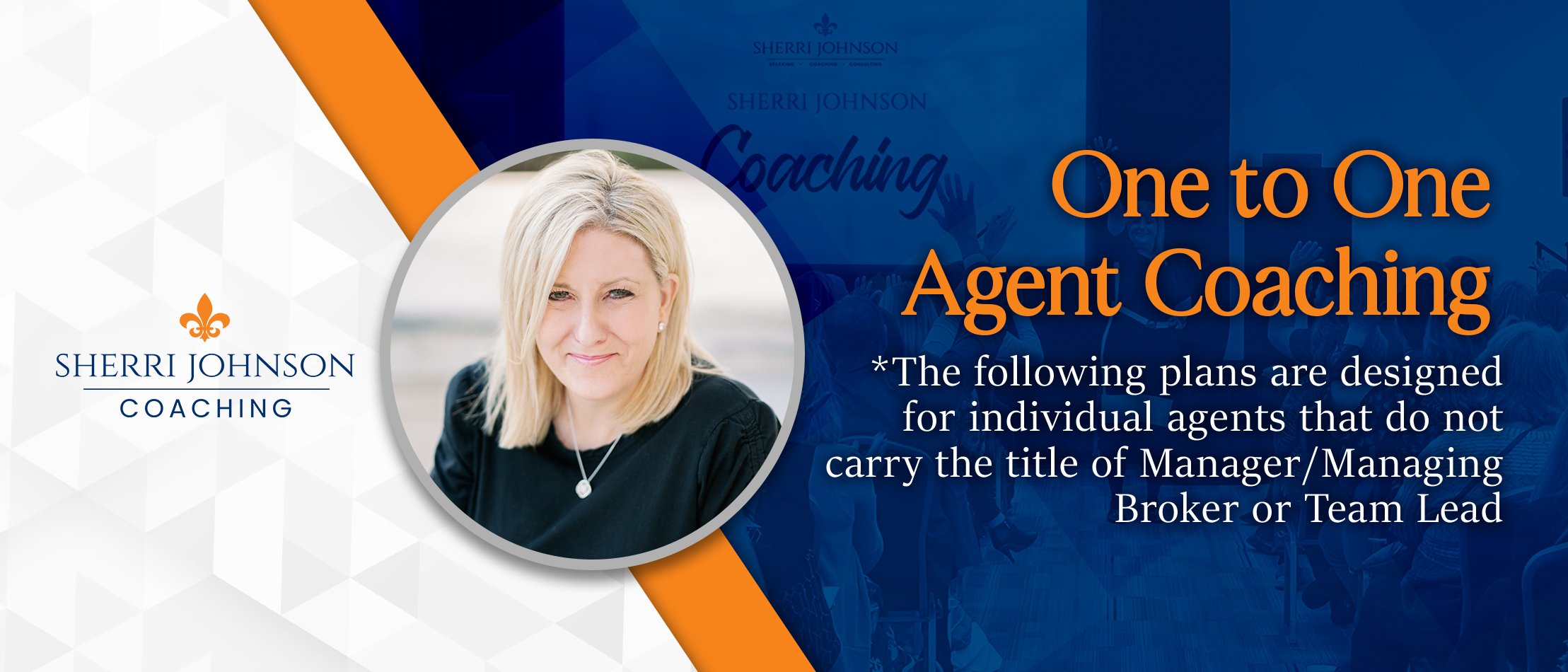 One to One Agent Coaching Banner 2217 x 950 (1)